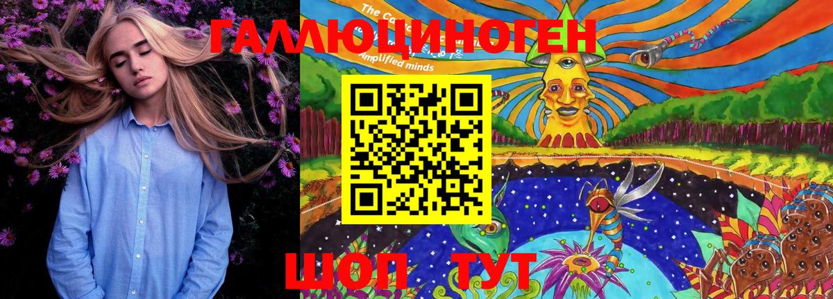 Галлюциногенные грибы Psilocybine cubensis Дербент