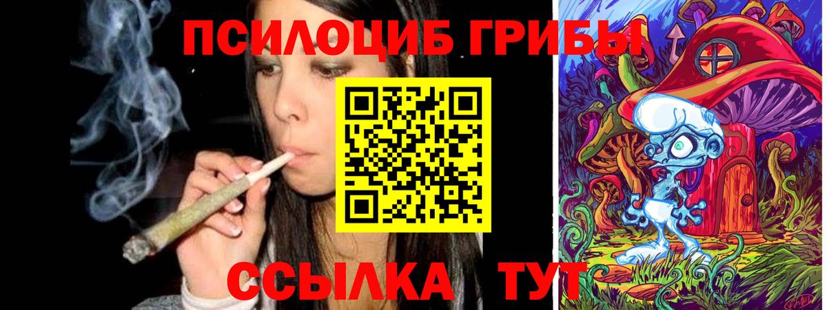 Галлюциногенные грибы Cubensis  Галлюциногенные грибы прущие грибы  Вход с VPN  Дербент 